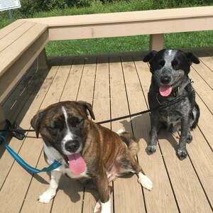 Fundraising Page: Rita Jordan-Keller